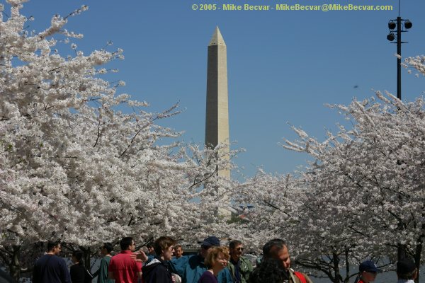 Washington Monument