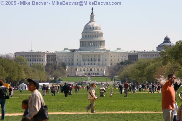 Photo on the Mall looking towards the Capitol