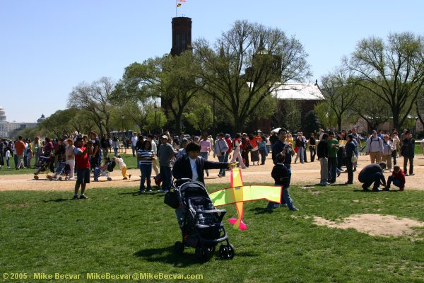 Photo on the Mall