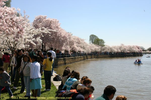 Crowds of visitors