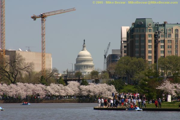 U.S. Capitol Building