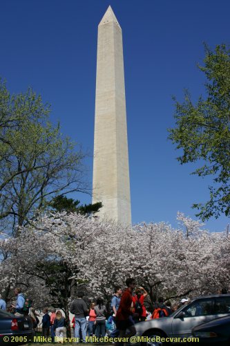 The Washington Monument