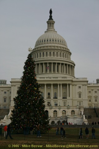 U.S. Capitol and the Capitol Christmas Tree