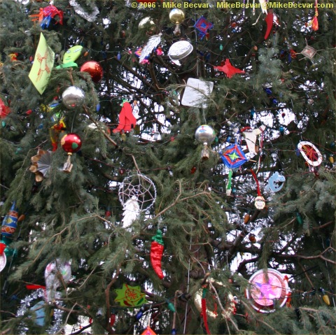 Capitol Christmas Tree