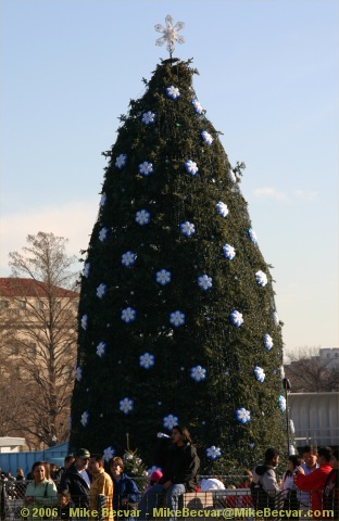 National Christmas Tree