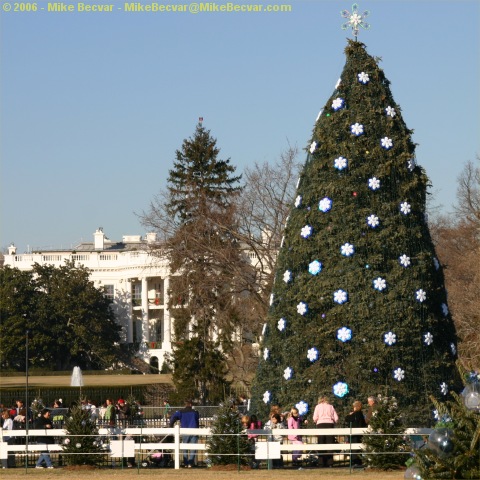 National Christmas Tree