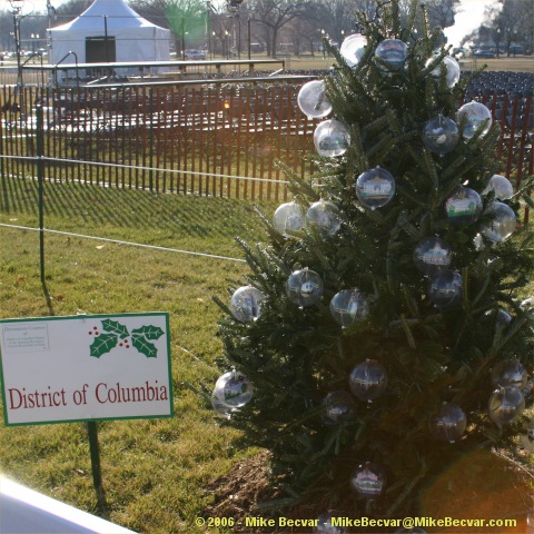 Small Christmas Tree representing DC.