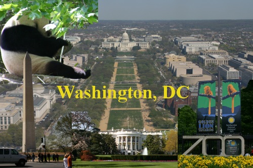 Washington, DC