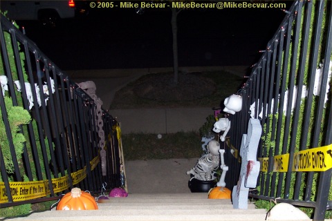 View down the front steps