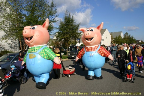 three little pigs