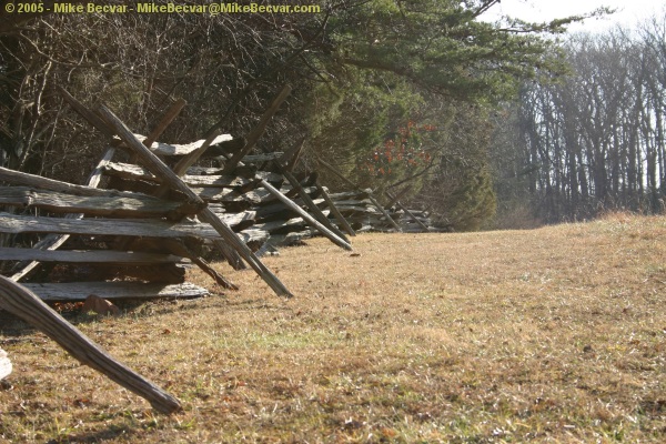 Wooden fence