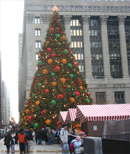 Christmas tree at Daly Plaza