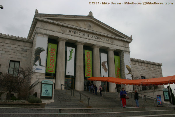 Shedd Aquarium