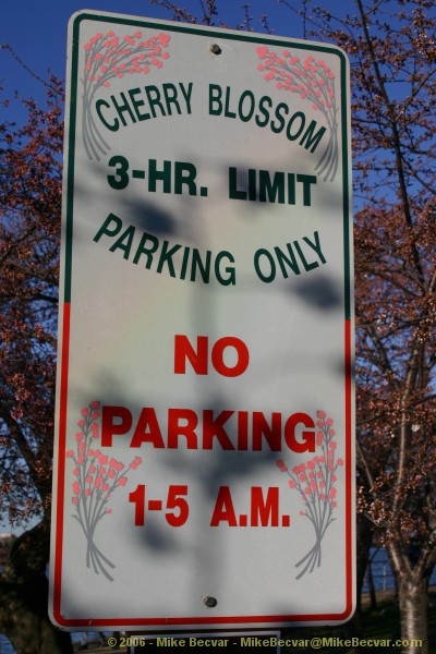 Cherry Blossoms Parking Sign