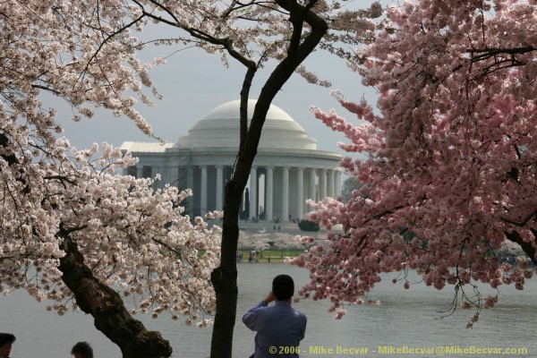 Jefferson Memorial