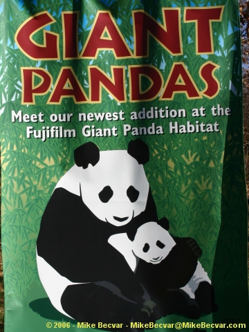Giant Pandas sign at the National Zoo.