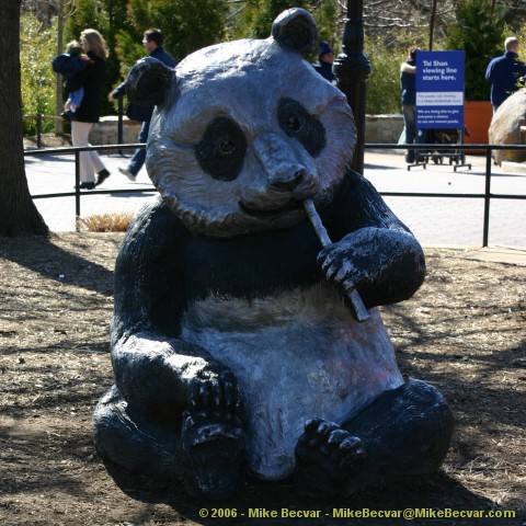Statue of a Giant Panda eating some bamboo.