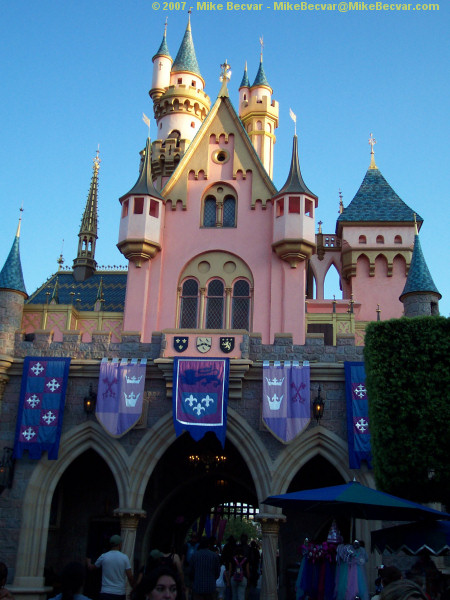 Disneyland Castle