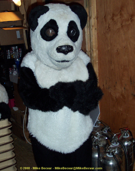Mike Becvar in a Panda Costume