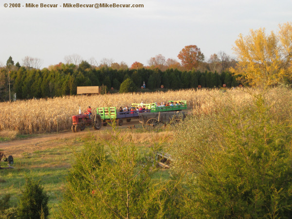 hayride