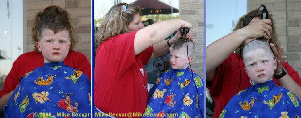 St. Baldrick's Shavee