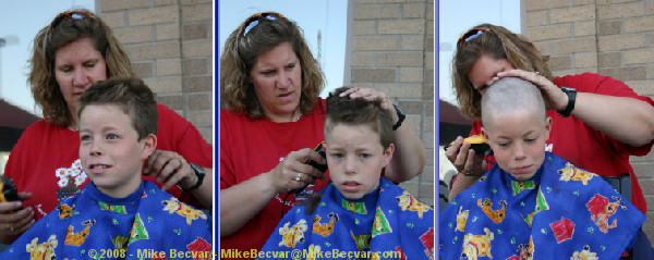 St. Baldrick's Shavee