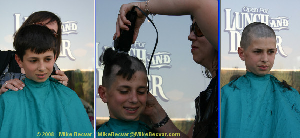 St. Baldrick's Shavee