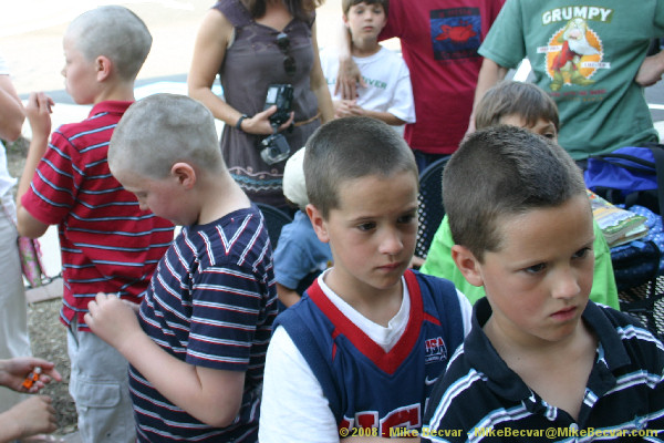 St. Baldrick's Shavees