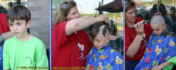 St. Baldrick's Shavee