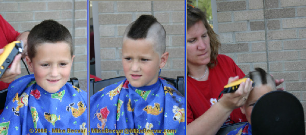 St. Baldrick's Shavee