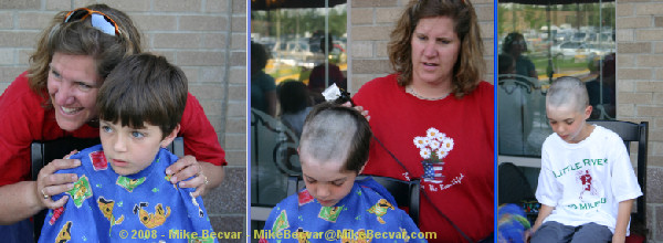 St. Baldrick's Shavee